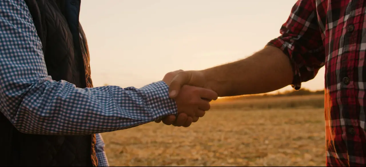 The Handshake